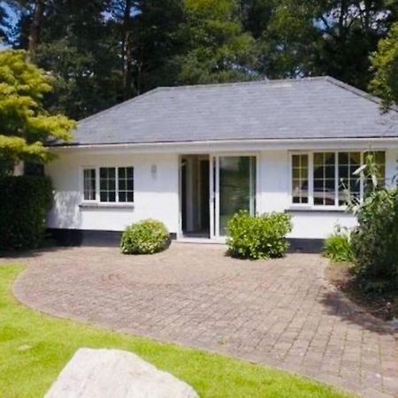 Chadham Pines Cottage Poole Bagian luar foto